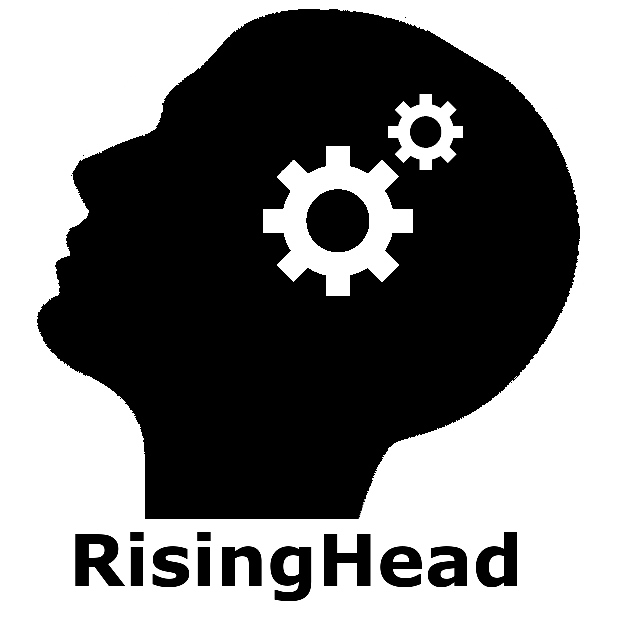 RisingHead Technology